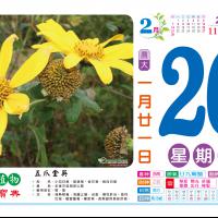8K藥草日曆-平日