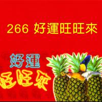 266-好運旺旺來